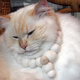 Illustration for article titled $130 Necklace Is Made Of Cat Hair